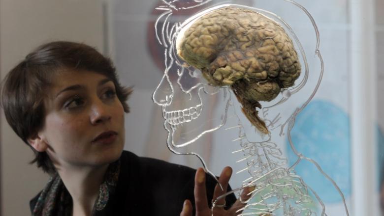 Descoperire impresionantă! O boală incurabilă ar putea fi vindecată &icirc;n fază incipientă