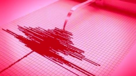 Cutremur în România, miercuri dimineață, produs în zona Vrancea. Ce magnitudine au înregistrat seismologii