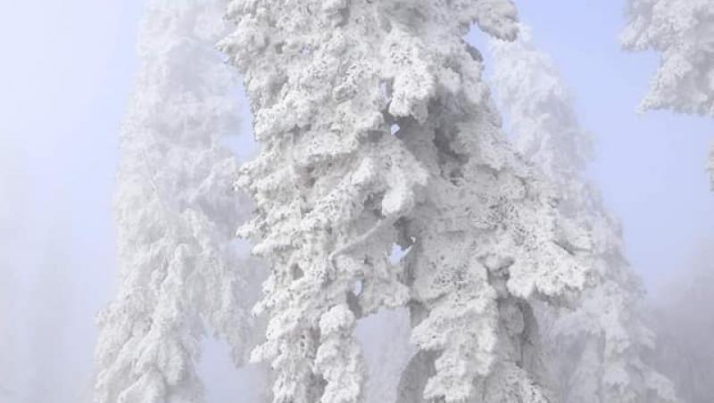 Imagini de poveste în România. A nins în mai multe zone din țară. Galerie foto