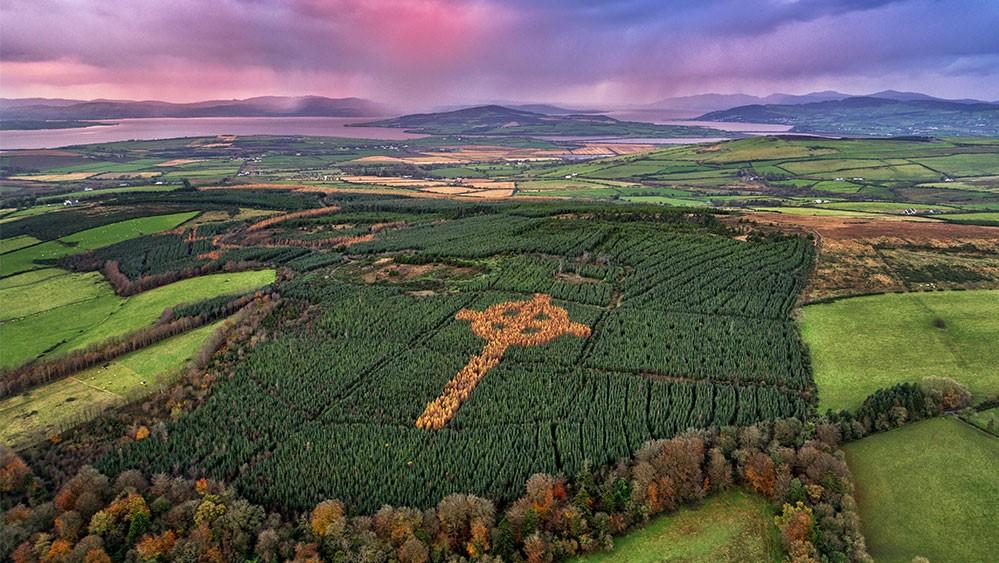Misterul crucii celtice care apare toamna &icirc;ntr-o pădure din Irlanda de Nord