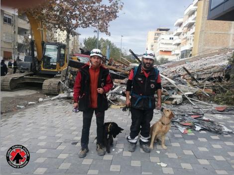 Câinii salvatori Challapa şi Billy din România participă la misiunea de căutare şi salvare a victimelor cutremurului din Albania - FOTO