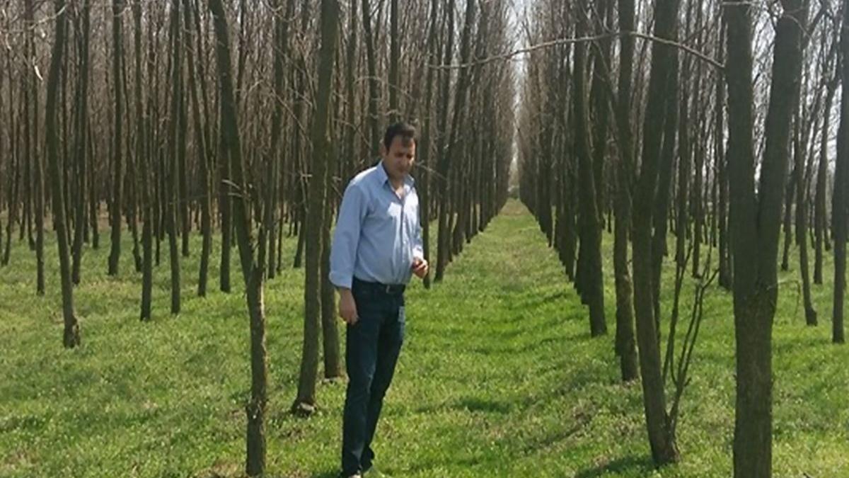 Cum a &icirc;ndrăznit?! A plantat 40.000 de copaci pe păm&acirc;ntul lui, din dragoste pentru natură, și a primit o amendă colosală! Cum justifică Garda de Mediu sancțiunea. &bdquo;E de tot r&acirc;sul!&rdquo;