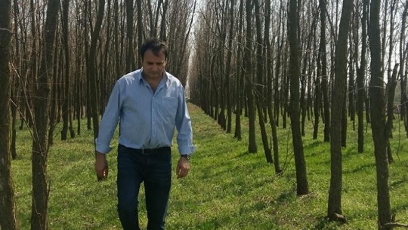 Un fermier a fost amendat de Garda de Mediu, după ce a plantat 40.000 de arbori pentru a îmbunătăți calitatea mediului