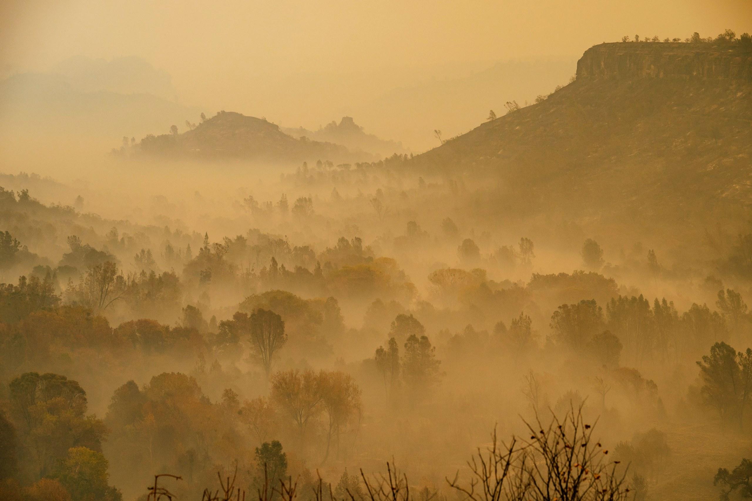 Previziune sumbră pentru Rom&acirc;nia și &icirc;ntreaga lume! &bdquo;Va fi o suferință de nedescris! A &icirc;nceput deja și accelerează cu o rapiditate mai mare dec&acirc;t s-a crezut!&rdquo;