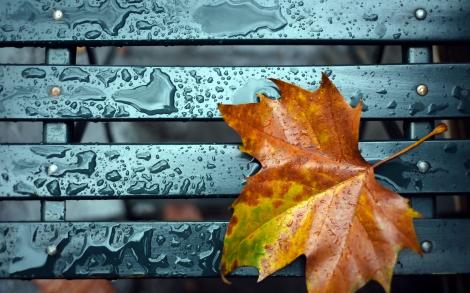 Vremea 7 noiembrie 2019. Prognoza meteo: vin ploile însoțite de descărcări electrice