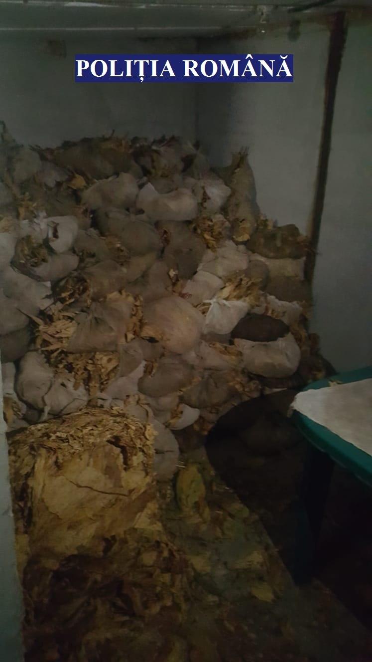 Zece persoane, reţinute &icirc;n urma percheziţiilor făcute la suspecţi de contrabandă cu tutun
