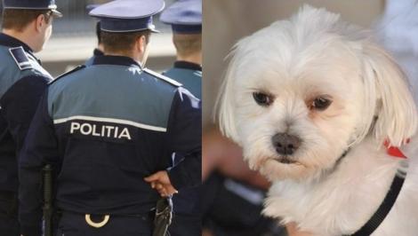 A fost arestat pentru că s-a îndrăgotit de un câine! Un bărbat din Iași riscă să stea după gratii din cauza unei idile