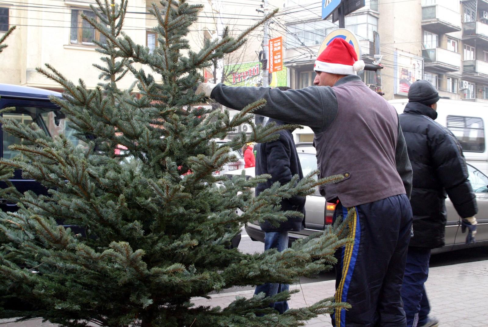 Ce este sindromul bradului de Crăciun și care sunt simptomele pe care nu trebuie să le ignori. Atenție, e mai periculos dec&acirc;t crezi!