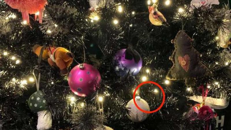 O pisiciă poznașă și-a făcut ascunzătoare într-un pom de Crăciun.