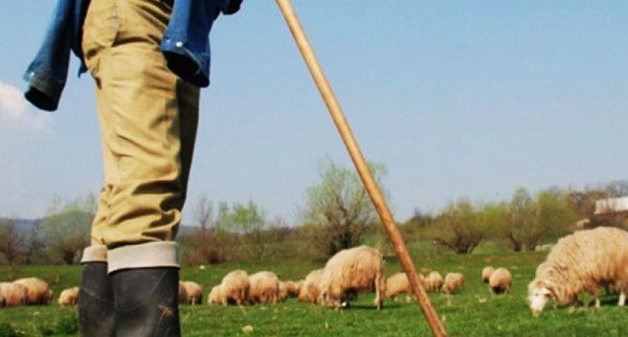 Răsturnare de situație &icirc;n cazul copilului v&acirc;ndut de bunică pentru o capră și c&acirc;țiva lei. Ce a declarat puștiul &icirc;n fața polițiștilor: &rdquo;Am vrut să c&acirc;știg un ban cinstit!&rdquo;