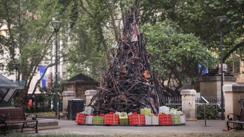 Brad de Crăciun din ramuri carbonizate, simbolul dezastrelor provocate de incendiile din Australia. &bdquo;Te impresionează&rdquo;