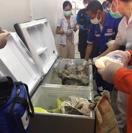 A stat cu mortul &icirc;n frigider! A păstrat cadavrul soţului &icirc;n congelator, timp de zece ani, pentru a-i &icirc;ncasa indemnizaţia de veteran