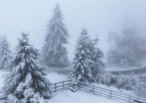 Video. A început să ningă ca-n povești în România. Imagini din zonele înalte, unde zăpada a depășit jumătate de metru