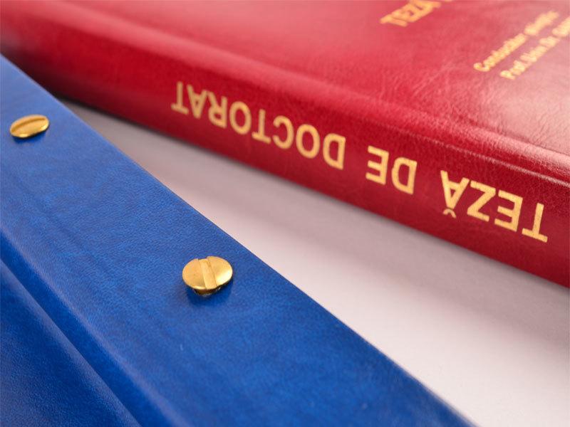 Şase titluri de doctor obţinute la Academia Naţională de Informaţii, retrase. Un fost şef &icirc;n Comunitatea Naţională de informaţii, un fost şef al Direcţiei de Combatere a Crimei Organizate din IGPR, printre cei vizaţi