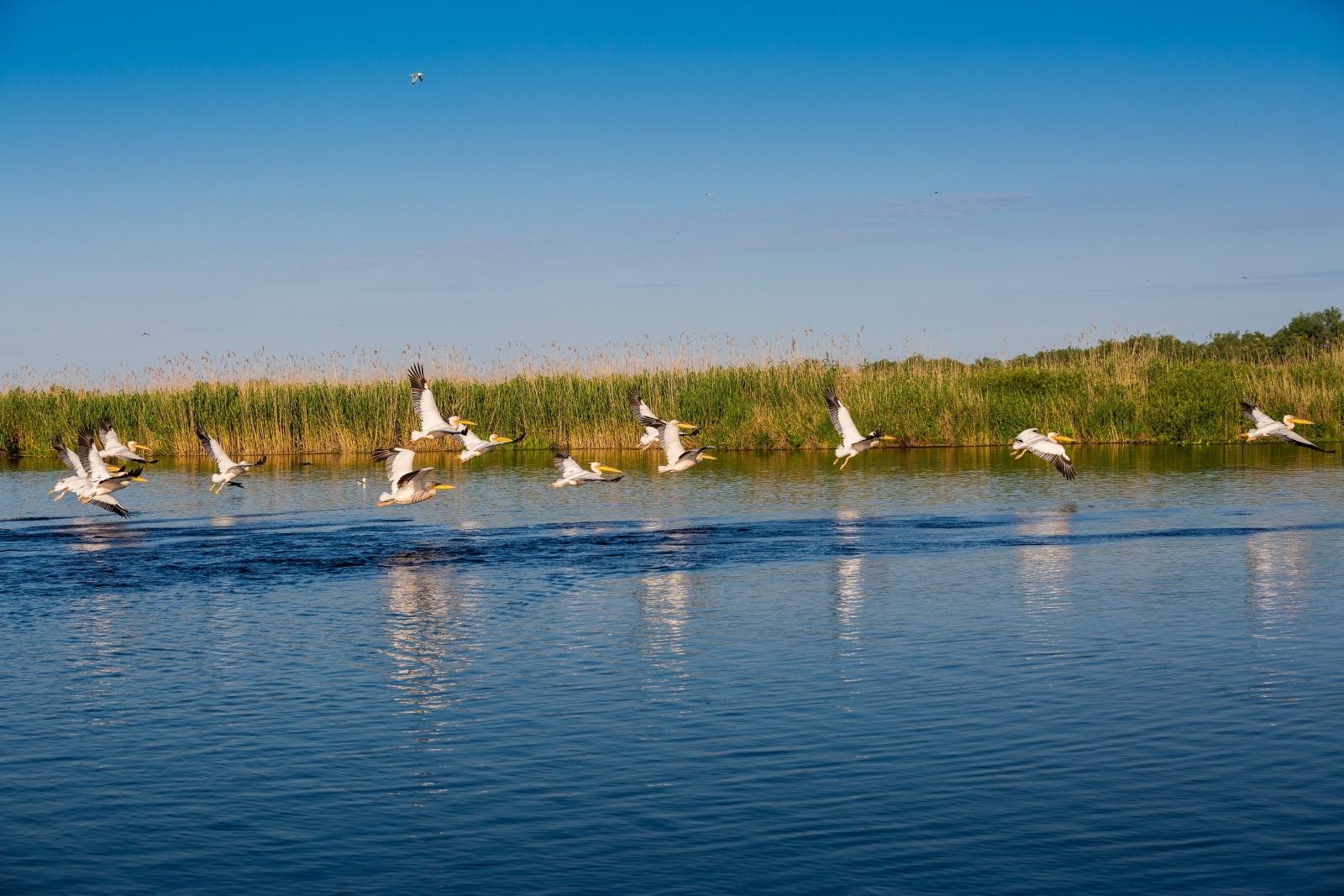 Noul guvernator al Rezervaţiei Biosferei Delta Dunării este Ion Munteanu