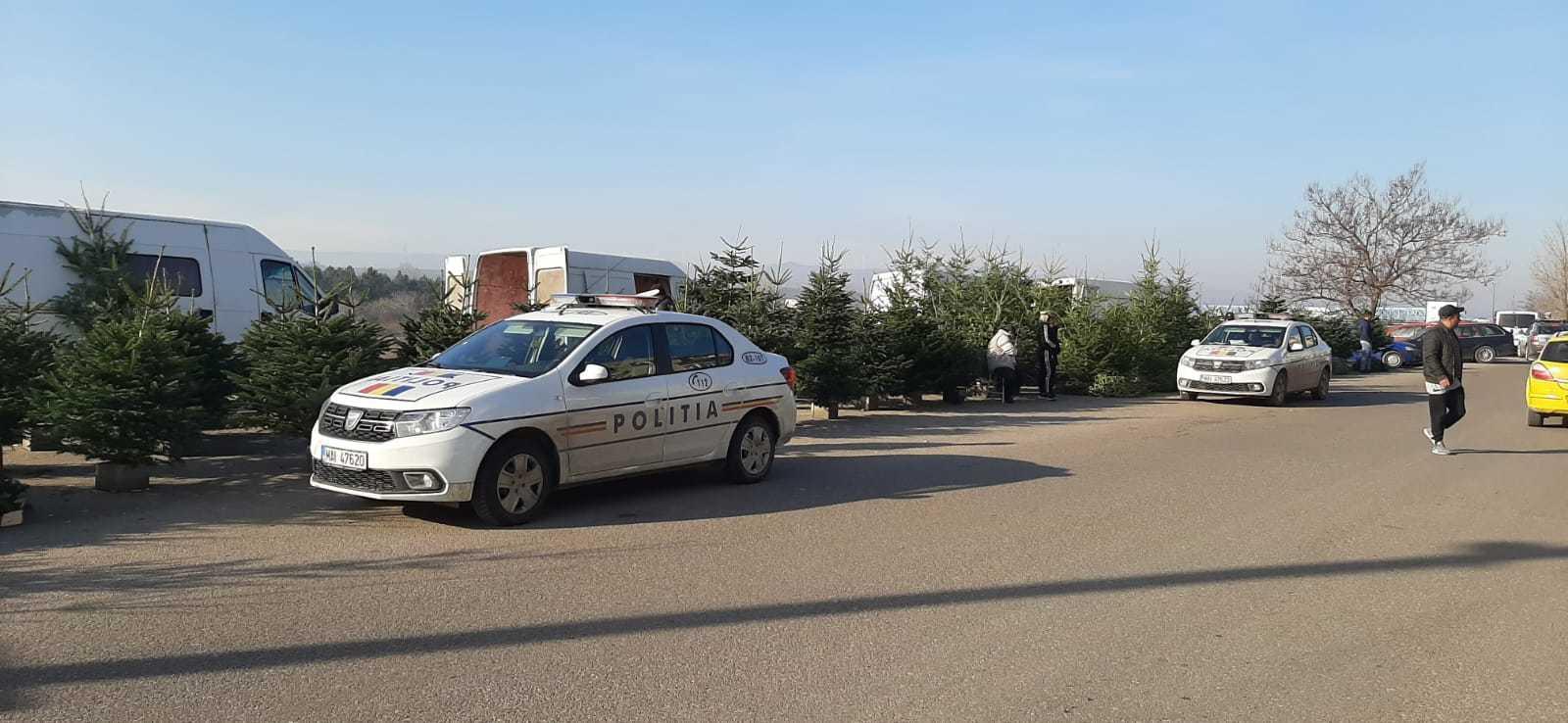 IGPR: Peste 5.800 de pomi de Crăciun au fost confiscaţi, fiind constatate 426 de infracţiuni; s-au dat amenzi &icirc;n valoare de aproape un milion de lei