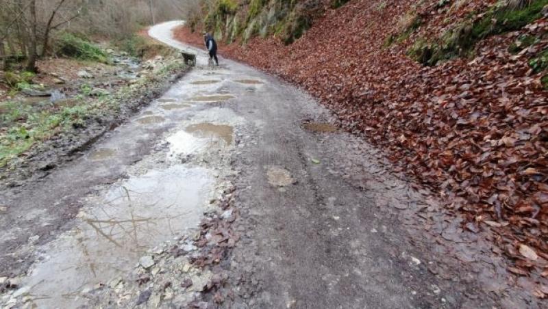 Un bătrânel a asfaltat singur un drum județean din Hunedoara