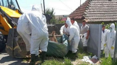 Epidemia lovește România?! Stare de alertă: Specialiștii au descoperit un nou focar periculos! „Cetățenii trebuie să știe”
