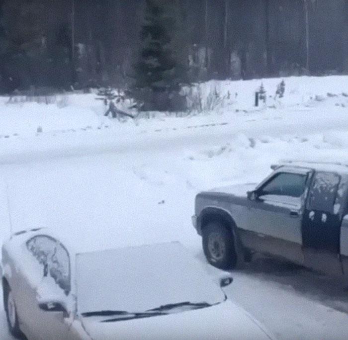 VIDEO/ Clipe de groază trăite de un bărbat &icirc;ntr-o pădure! Acest zgomot depășește orice imaginație: &bdquo;Este terifiant&rdquo;