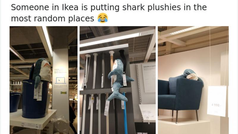 Un rechin pluș este pus să facă lucruri omenești