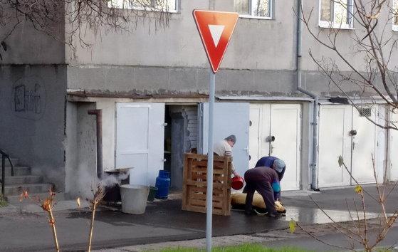 S-a apucat să &icirc;și tranșeze porcul &icirc;n spatele blocului, printre mașini. După amenda primită de la Poliție, orădeanul va manca cei mai scumpi c&acirc;rnați din viața lui!