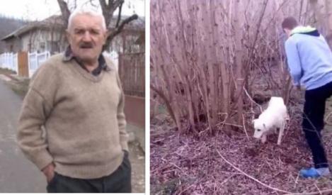 Reacția șocantă a bunicului adolescentului care a dat foc unui câine nevinovat: ,,A fost o joacă între ei''