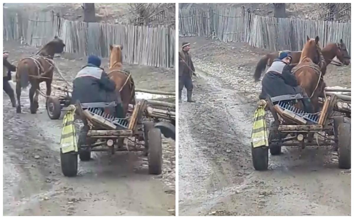 Cruzime fără margini! Un bărbat, surprins &icirc;n timp ce bătea cu sălbăticie un cal! Atenție, imagini ce vă pot afecta emoțional!