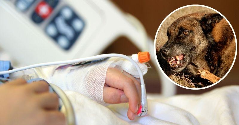 Un copil de şapte ani şi bunica lui, sf&acirc;șiați de c&acirc;inele unei rude la care au mers &icirc;n vizită. Băiețelul a fost mușcat de față