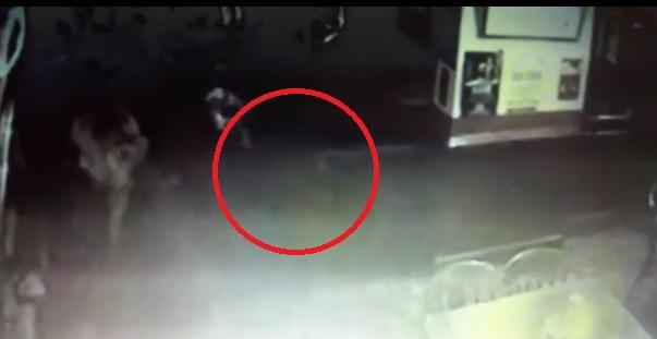 Apariție bizară, la un bar! Camerele de supraveghere au surprins ceva paranormal