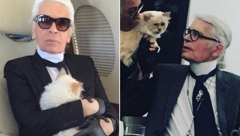 Cum s-a îndrăgostit Karl Lagerfeld de pisica sa, dorind-o de soție: ”Am răpit-o! Nu credeam să iubesc așa!”