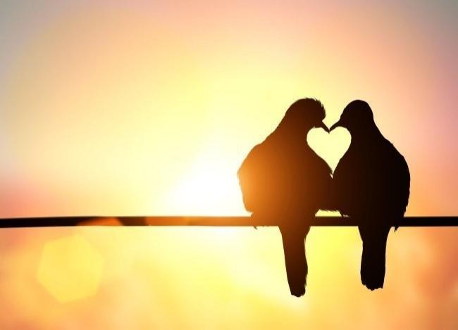 Dragobete, zeul vieții. Miturile și credințele zilei de 24 februarie