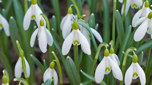 Prognoza meteo pentru luna martie. Vremea 25 februarie- 25 martie 2019