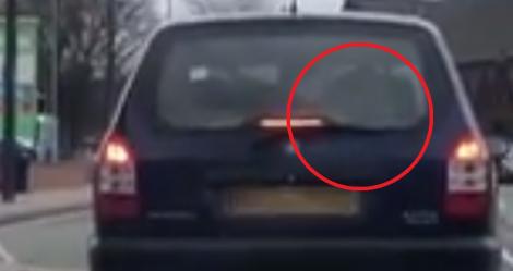 Șoc în trafic! Ce avea un șofer pe bancheta din spate a mașinii (VIDEO)