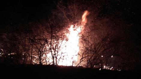 70 de incendii la Buzău, în doar cinci zile! Ce detaliu șocant a ieșit la iveală