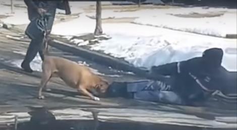 A fost sfâșiat! Un poştaș a fost atacat de un câine agresiv! Momentul a fost filmat! Atenție, imagini șocante! - Video