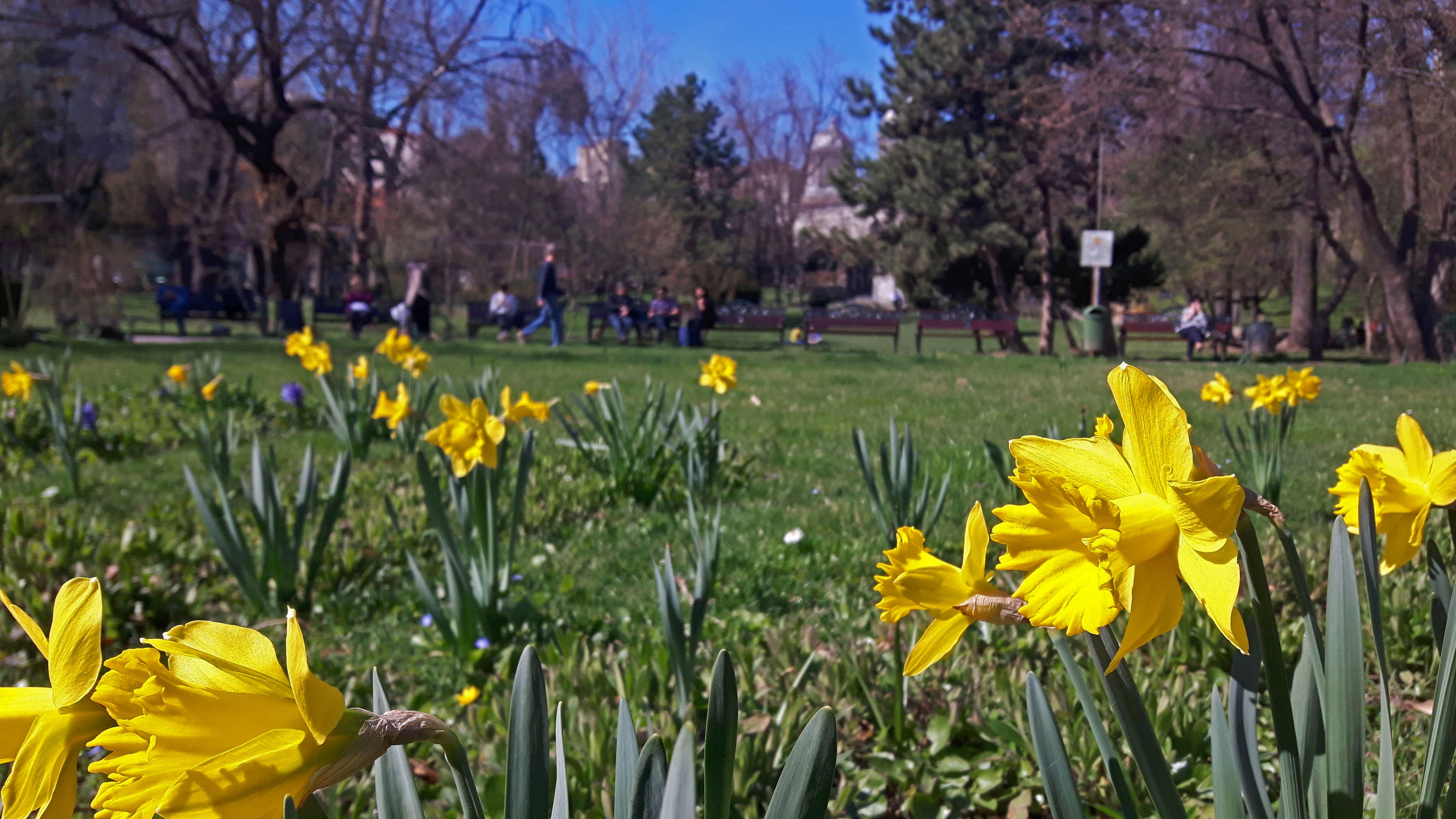 Prognoza meteo pe 2 săptăm&acirc;ni. Temperaturi de 18 grade &icirc;n Rom&acirc;nia!
