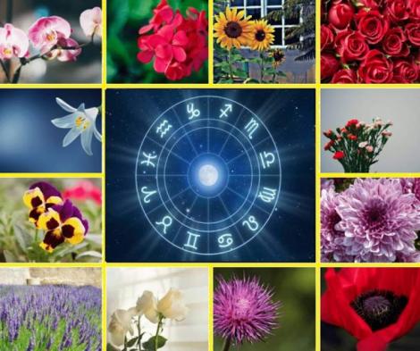 Horoscop Mărțișor. Ce floare ești în funcție de data nașterii și cât noroc vei avea în viață