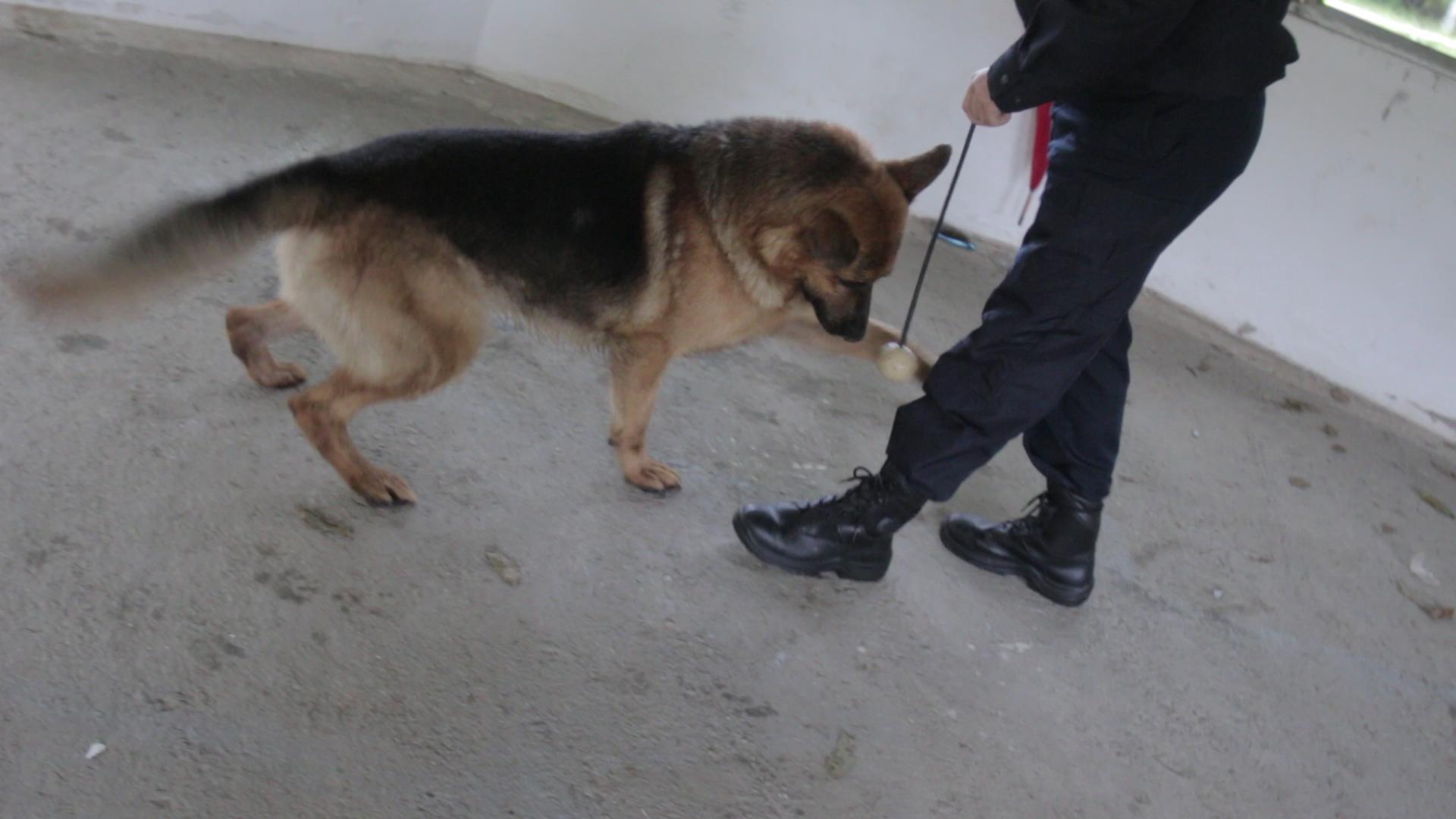 S-a terminat telenovela! Cea mai căutată femeie a fost găsită &icirc;n urmă cu puțin timp. Trupul ei era &icirc;ngropat!!!