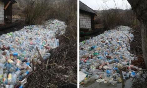 Imagini șocante pe un pârâu din Bihor! Mii de sticle din plastic zac aruncate pe apă poluând întreaga localitate