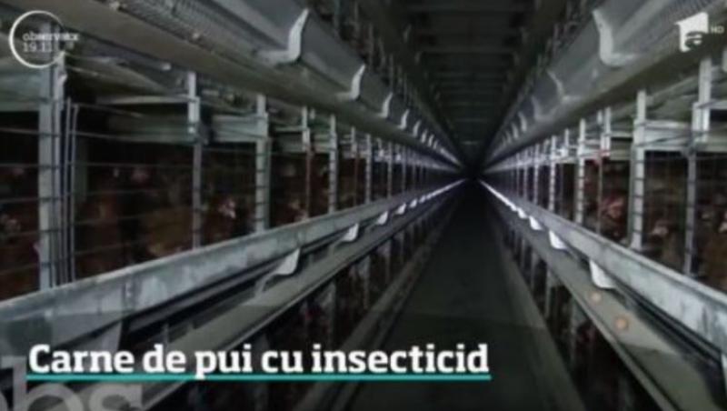 Alertă alimentară în România! Inspectorii sanitari au descoperit că şi carnea găinilor de la ferma din Scorniceşti este contaminată cu fipronil