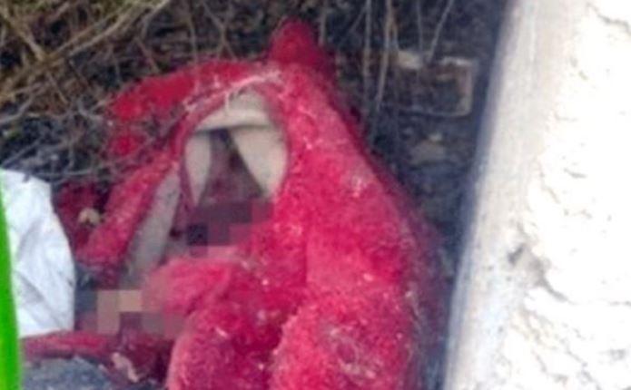 O mamă și-a surprins fiul &icirc;n timp ce &icirc;și &icirc;ngropa fratele mai mic &icirc;n curtea casei! Ce s-a &icirc;nt&acirc;mplat &icirc;n casă &icirc;ntre cei doi copii