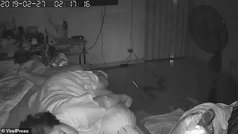 Video. Momentul în care piciorul unei femei a fost sfâșiat de un piton uriaș, în timp ce dormea: 