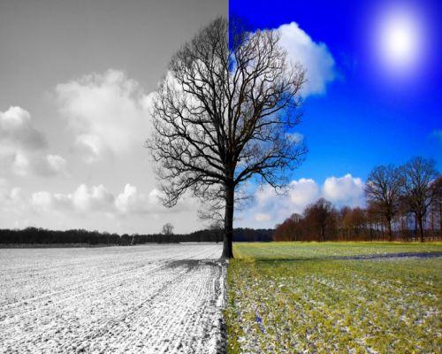 ANM, prognoza meteo 11-24 martie 2019. Vremea pe regiuni