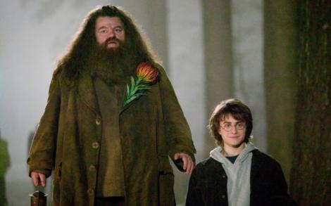 Îl mai ții minte pe uriașul Hagrid din filmul „Harry Potter”? Fanii au trăit un șoc când l-au văzut pe actor! Ți se rupe inima
