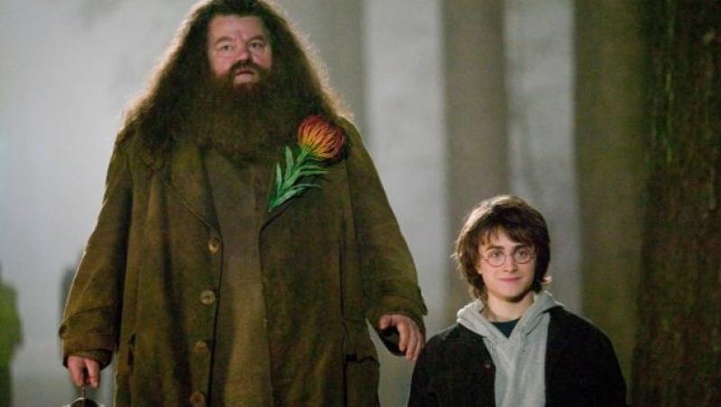 Îl mai ții minte pe uriașul Hagrid din filmul „Harry Potter”? Fanii au trăit un șoc când l-au văzut pe actor! Ți se rupe inima