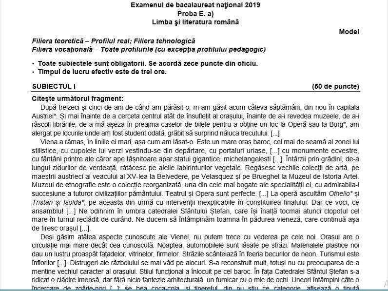 Subiecte Simulare Bac 2019, clasa a XII-a. Ce pică la Limba Rom&acirc;nă