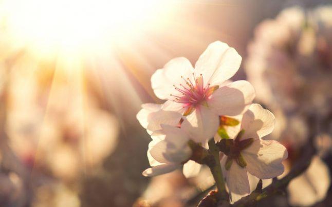 Prognoza meteo 18 - 31 martie 2019. ANM, vremea pe regiuni