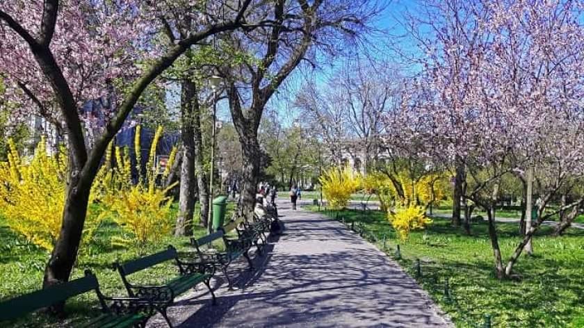 Vremea &icirc;n București 19 martie. Temperaturi de p&acirc;nă la 20 de grade &icirc;n Capitală