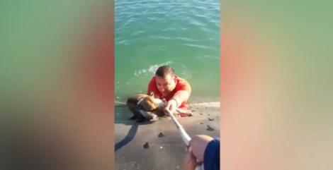 Silviu s-a aruncat în apele unui lac de acumulare, pentru a salva un câine de la înec. Operațiunea de salvare l-ar fi putut costa viața