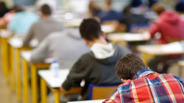 Simulare Bac 2019 Limba Maternă, a XII-a. Ce subiecte au picat. Bareme